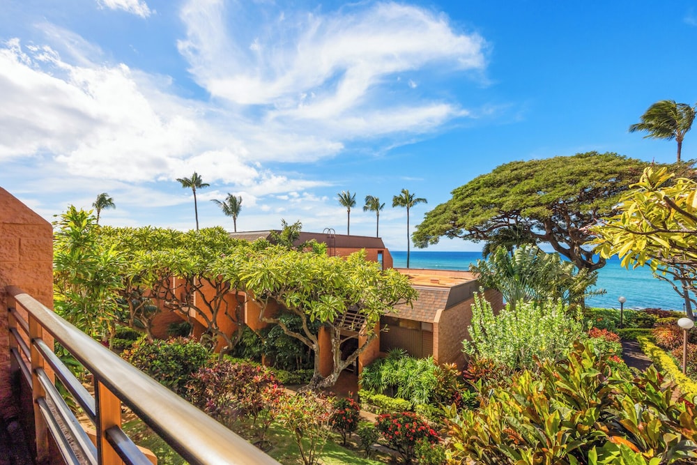Kuleana Club - 511