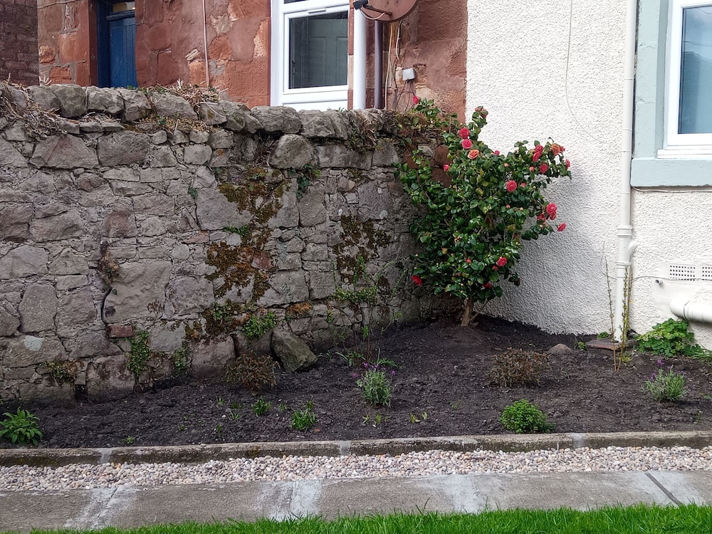 Photo 46