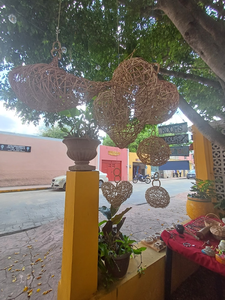 Photo 21
