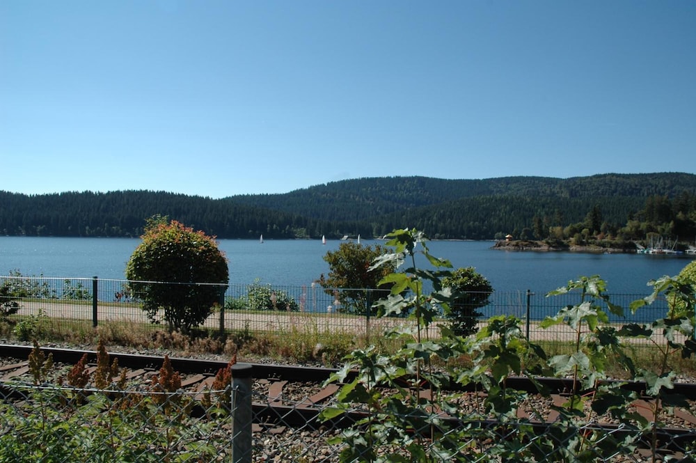 Photo 42
