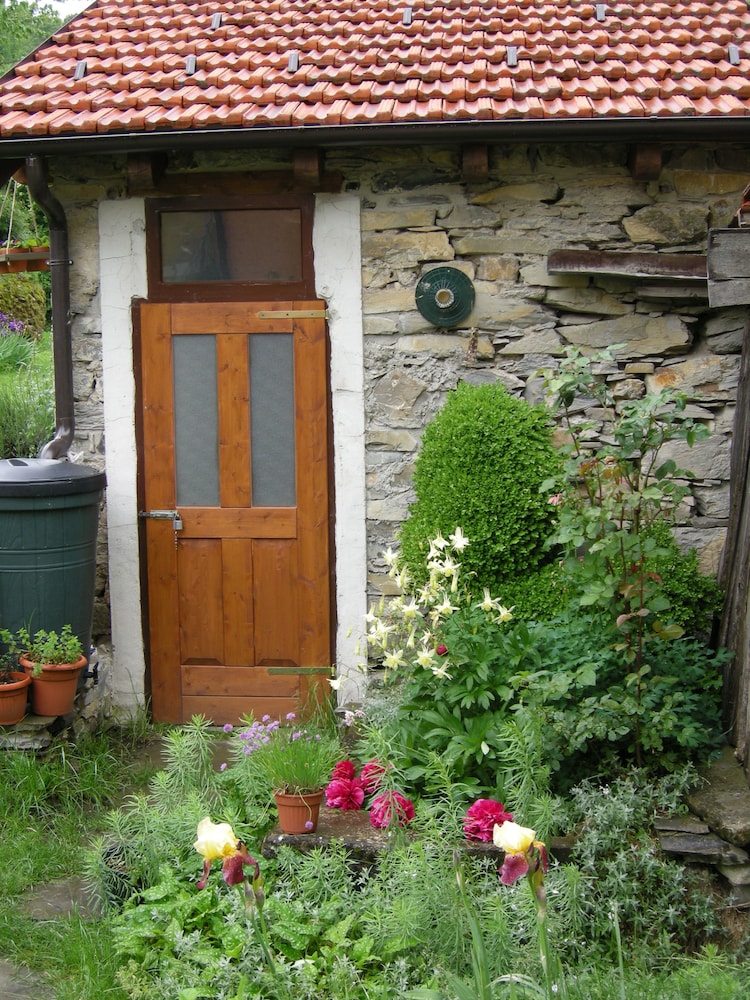 Photo 12