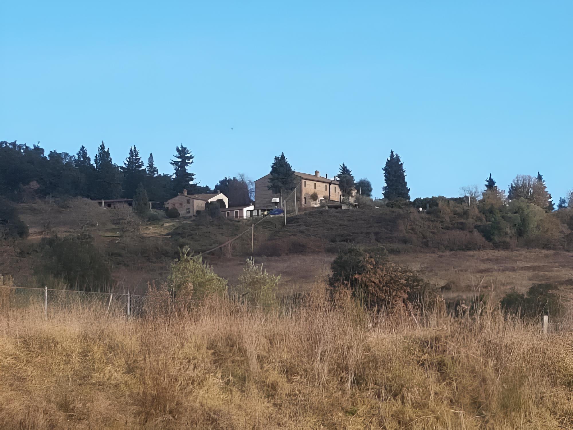 Photo 41