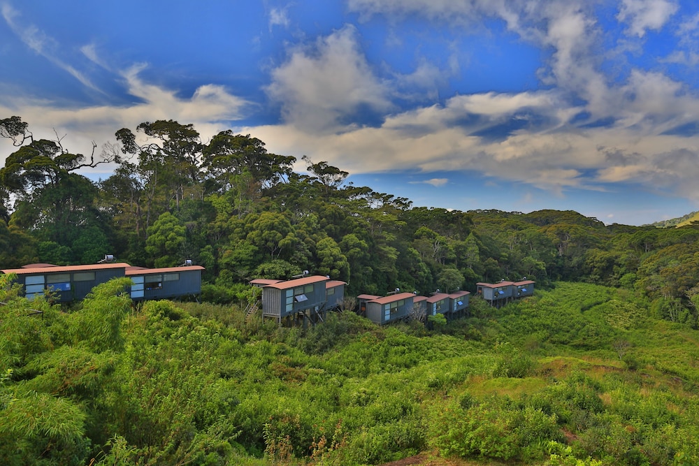The Rainforest Ecolodge