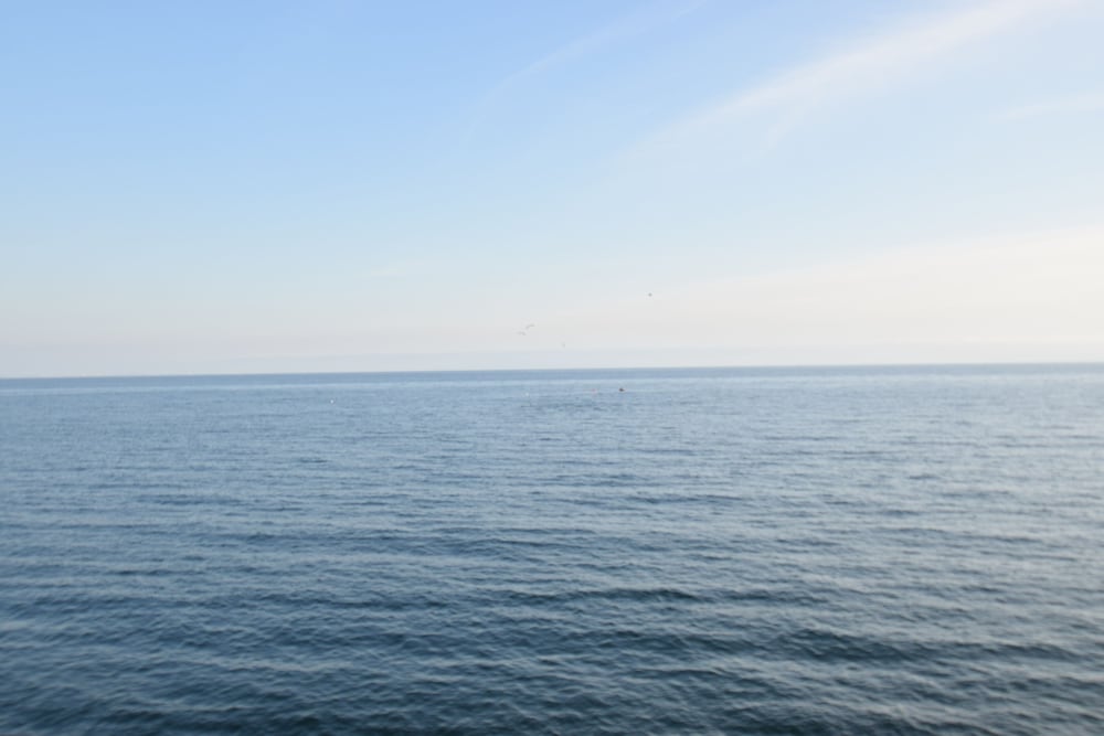 Malibu Beach Paradise Apartments