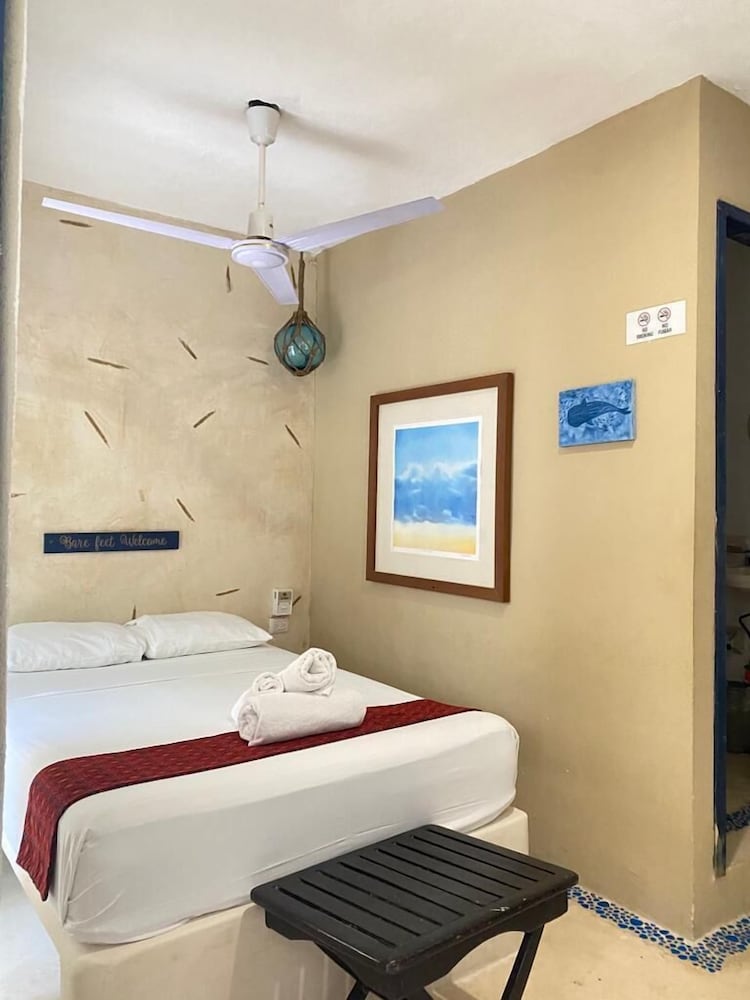 Isla Holbox Vacations - La Constanza de Rulo - Property Image 46