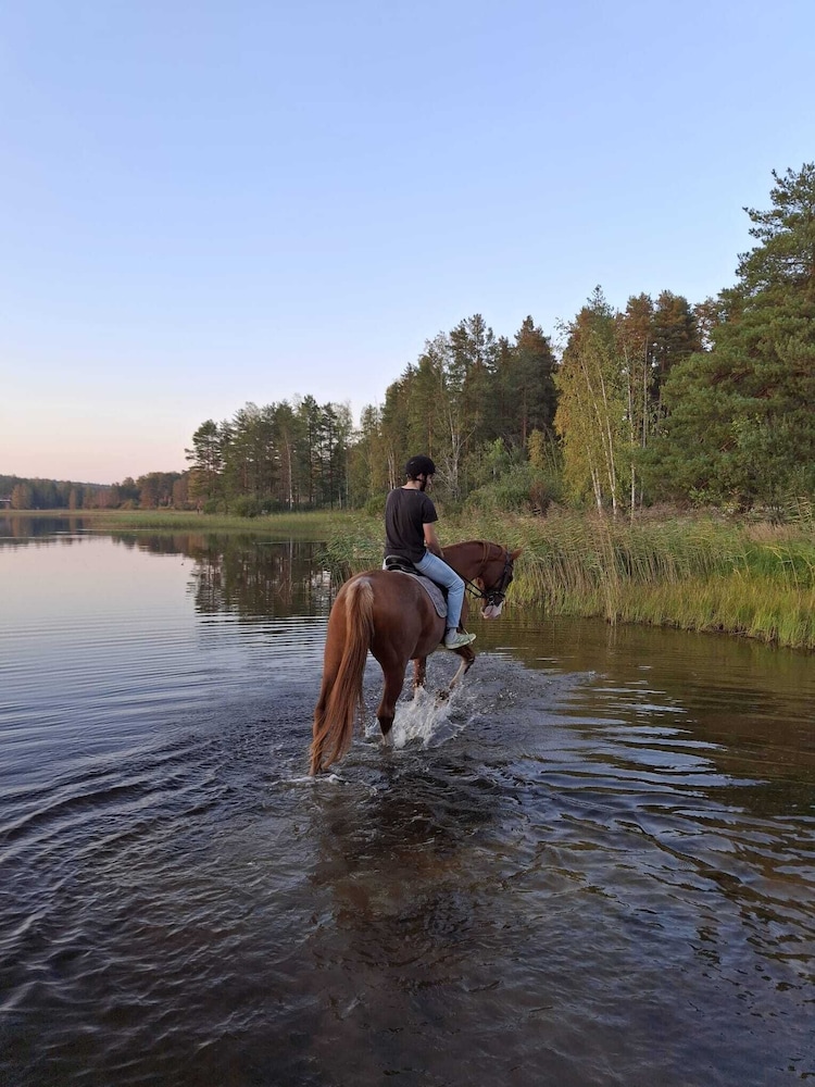 Myskje Gård Äventyr