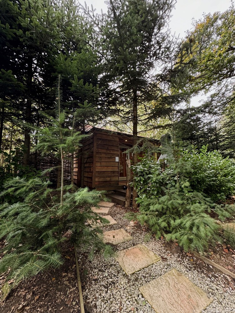 Hayne Barn Estate - Private Estate : 6 Eco Lodges - 1 Studio