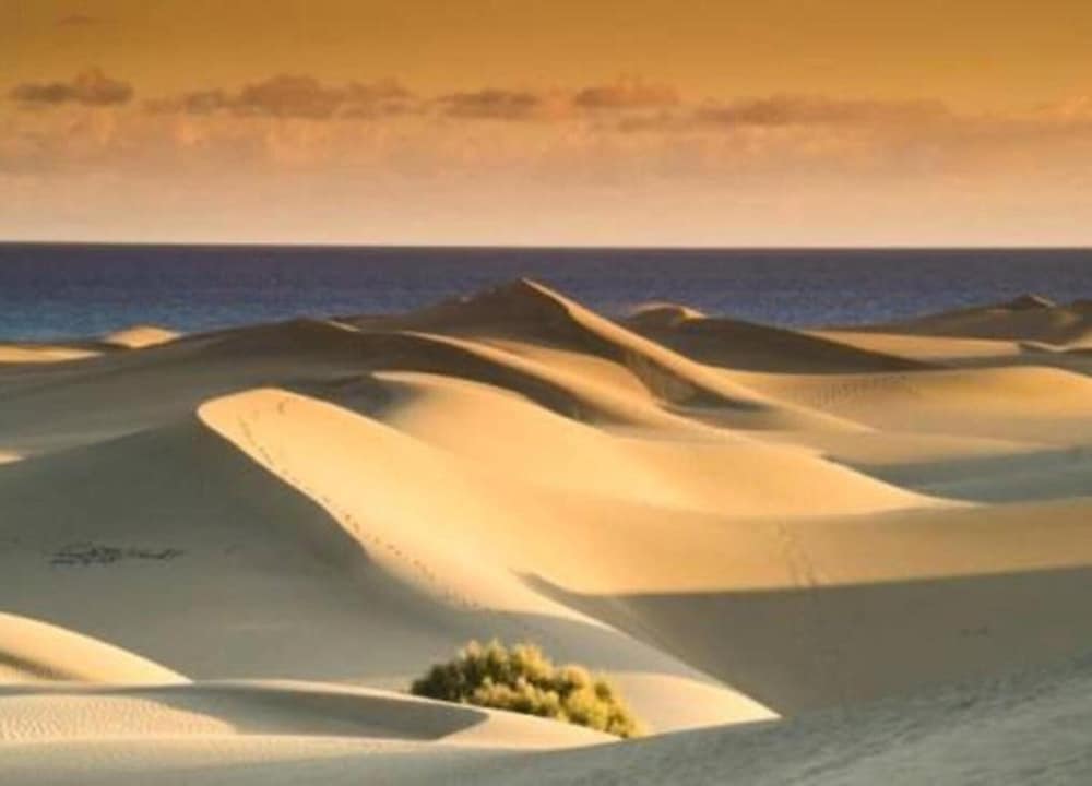 Apartment in Gran Canaria Near Maspalomas Dunes