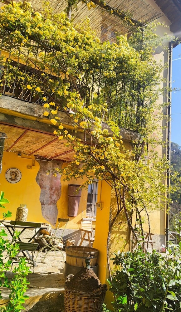 Le Giare Villa With Garden and Lake View view 3