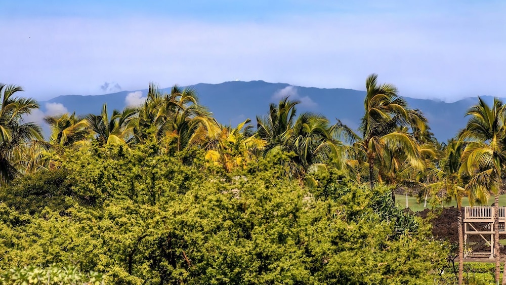 Hawaiian Villas - Great Location! - Vrkcv