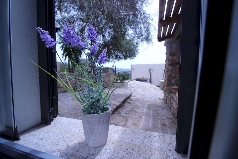 Villa Magdala in La Maddalena view 4
