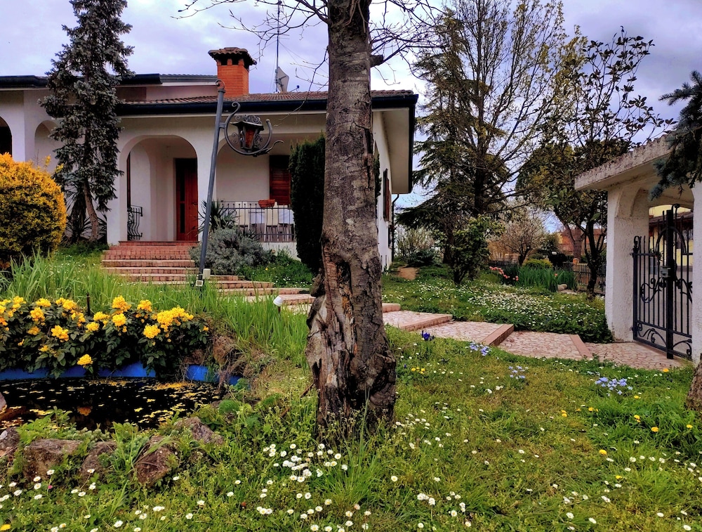 Photo 8
