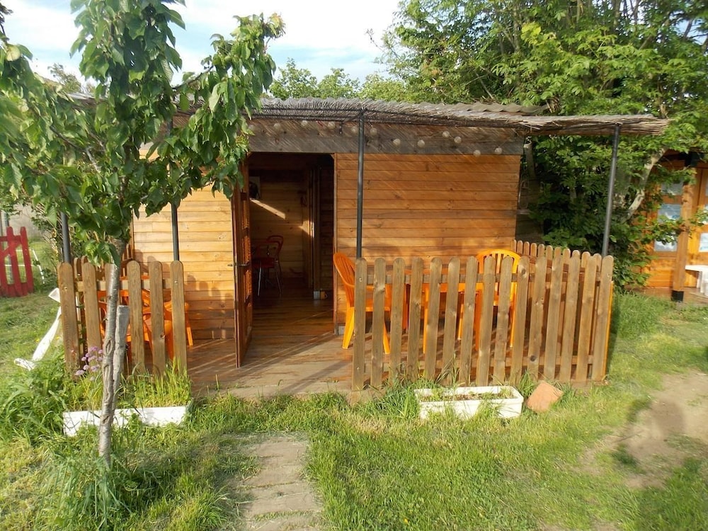 Photo 7