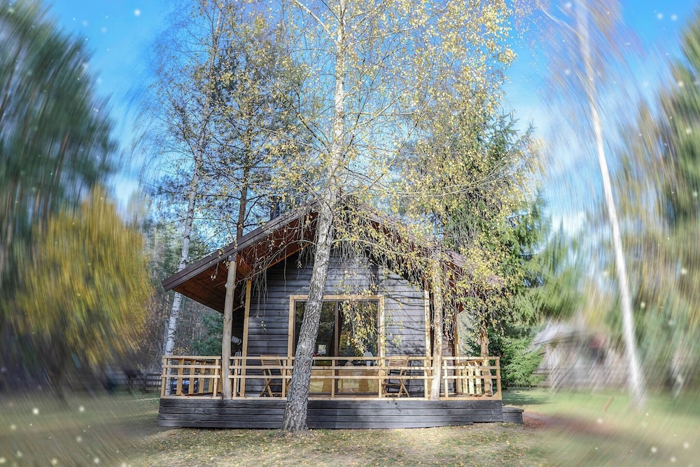 Metai Miške&a Year in the Forest