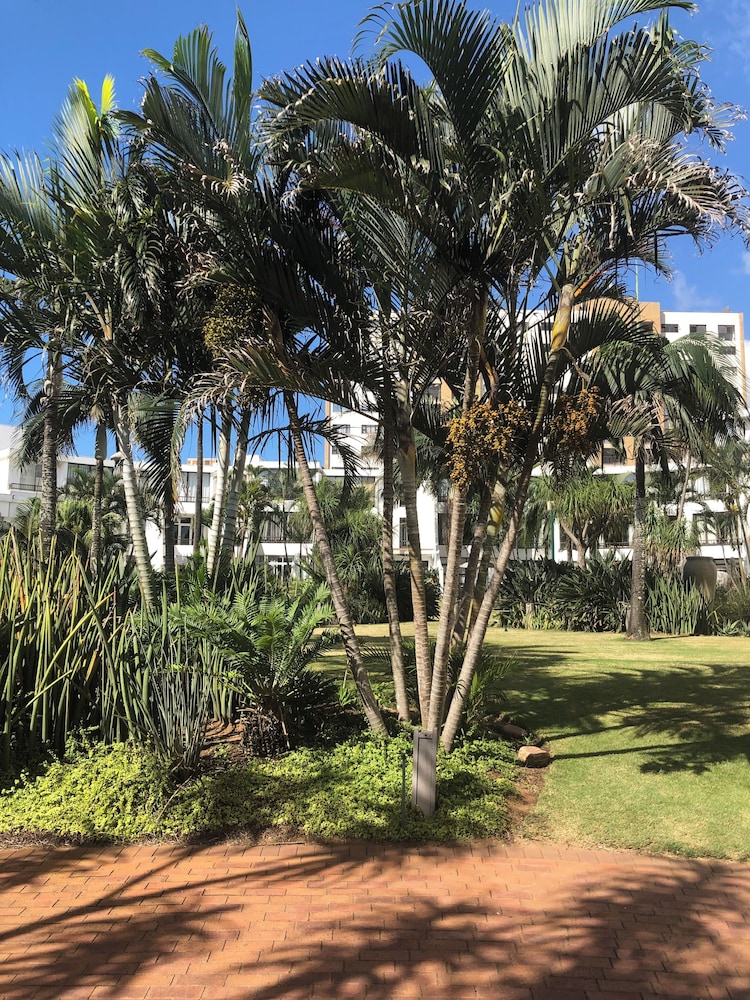Studio Resort Apartment - Sleeps 2 - Beachside