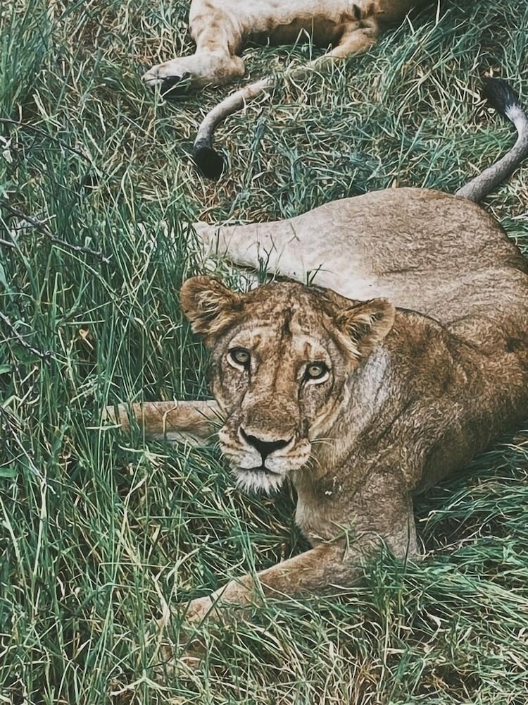 Photo 40