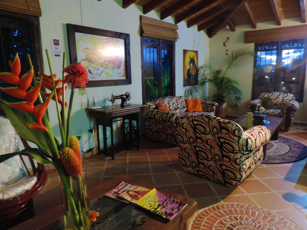 Oak Tree Hostel view 5