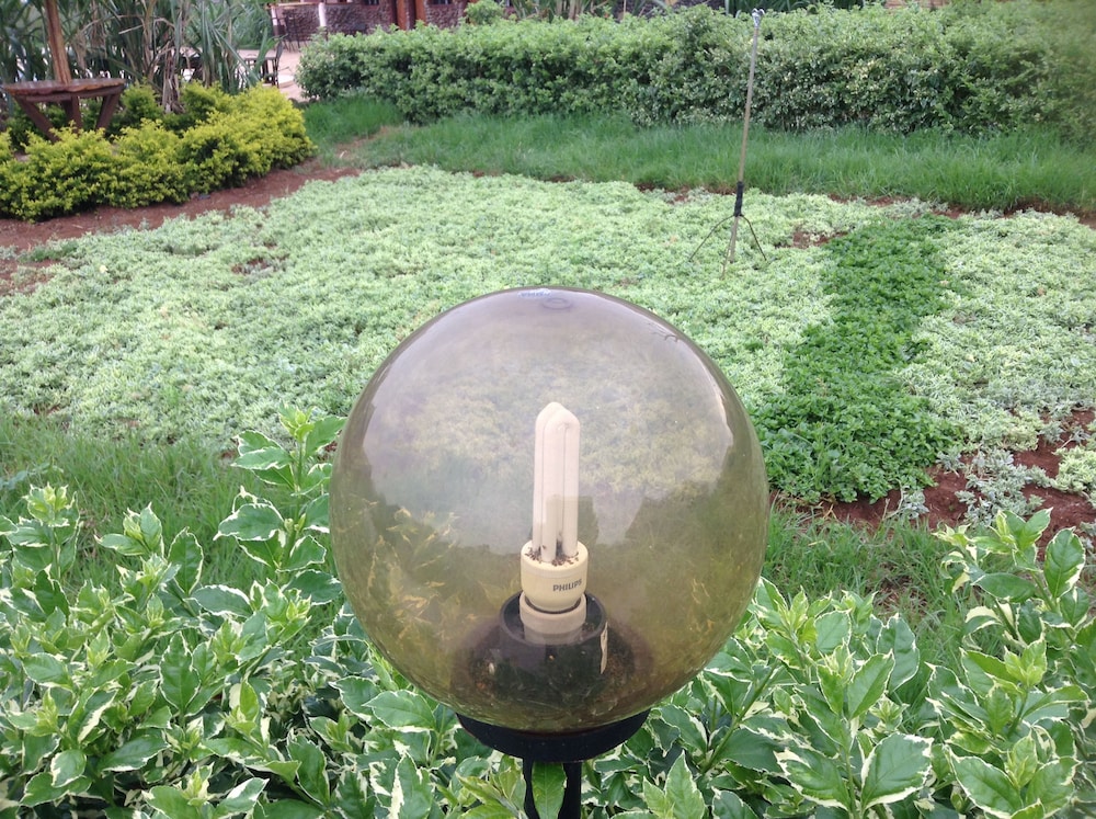 AA Lodge Amboseli