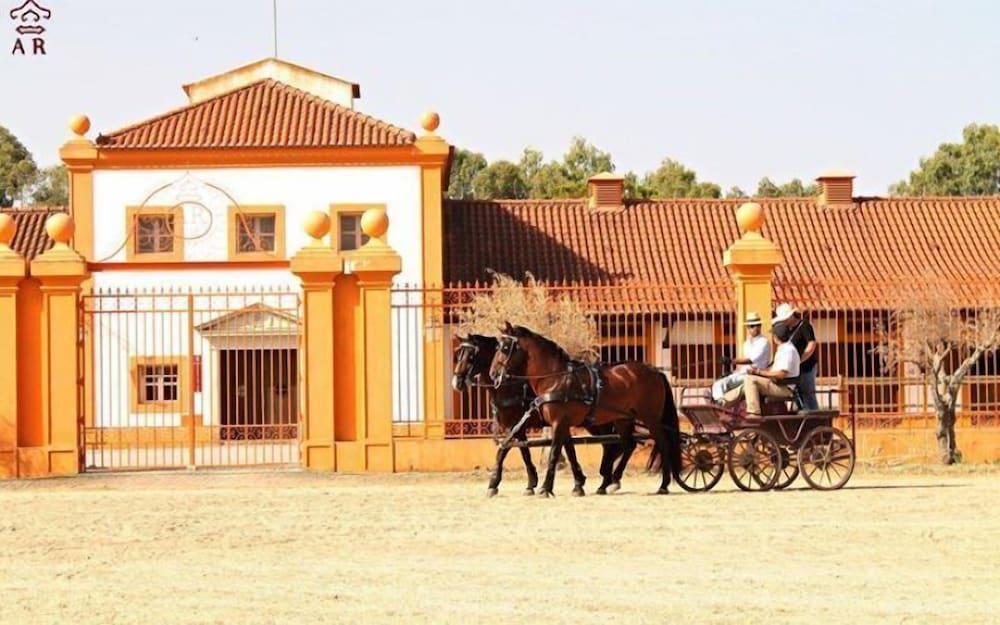 Dom Dinis Marvão