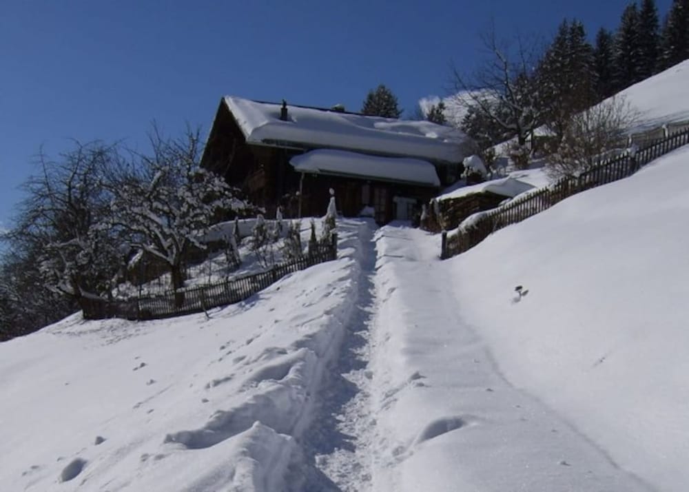 5 BR Gstaad Paradise View Chalet With Outdoor Jacuzzi