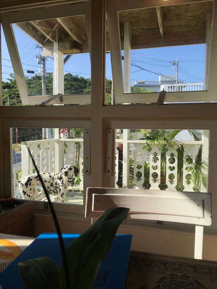 Guest House One One One