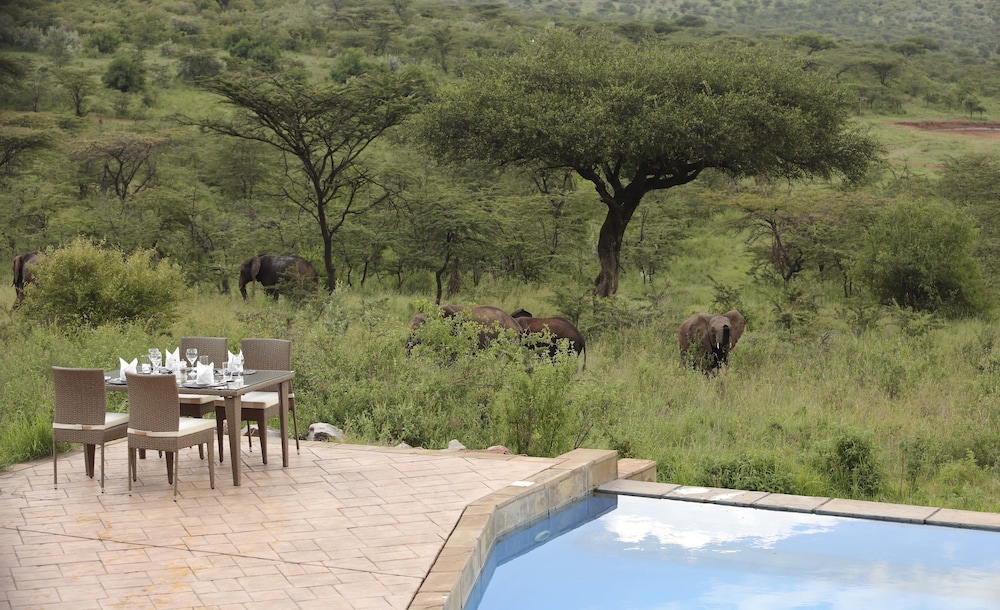 Spirit Of The Masai Mara