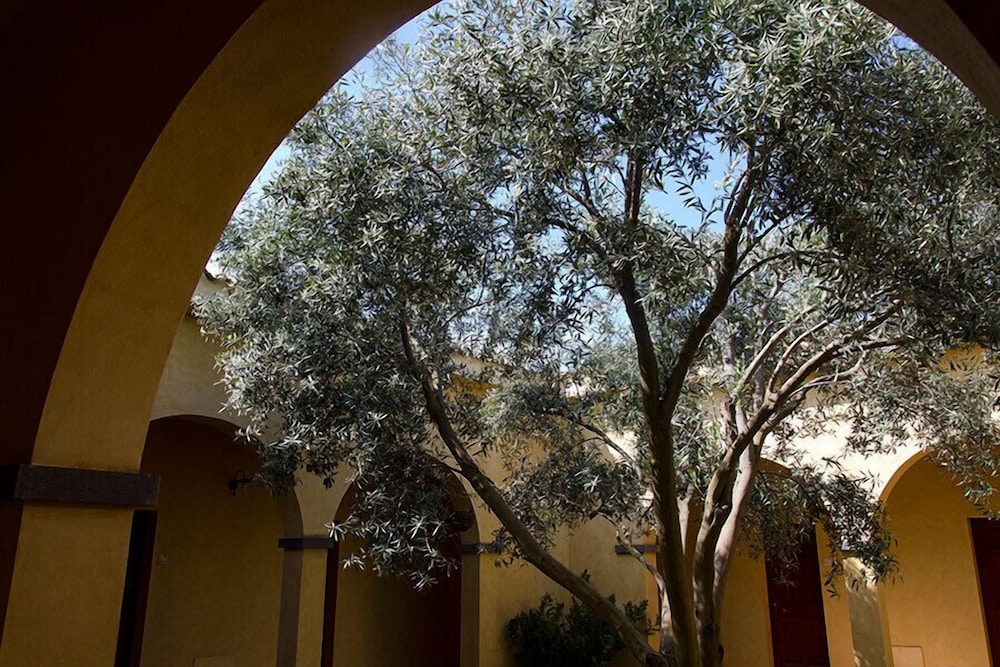 Hotel Tanca Irde