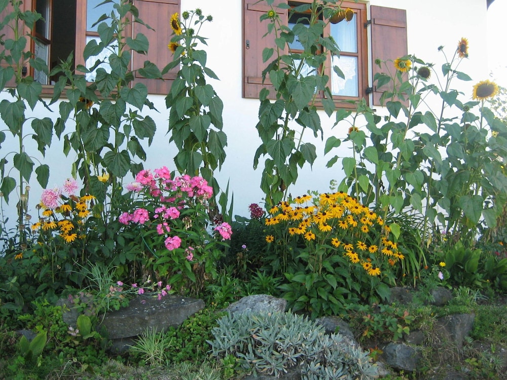 Apartment in the Allgau With View of the Bavarian Alps