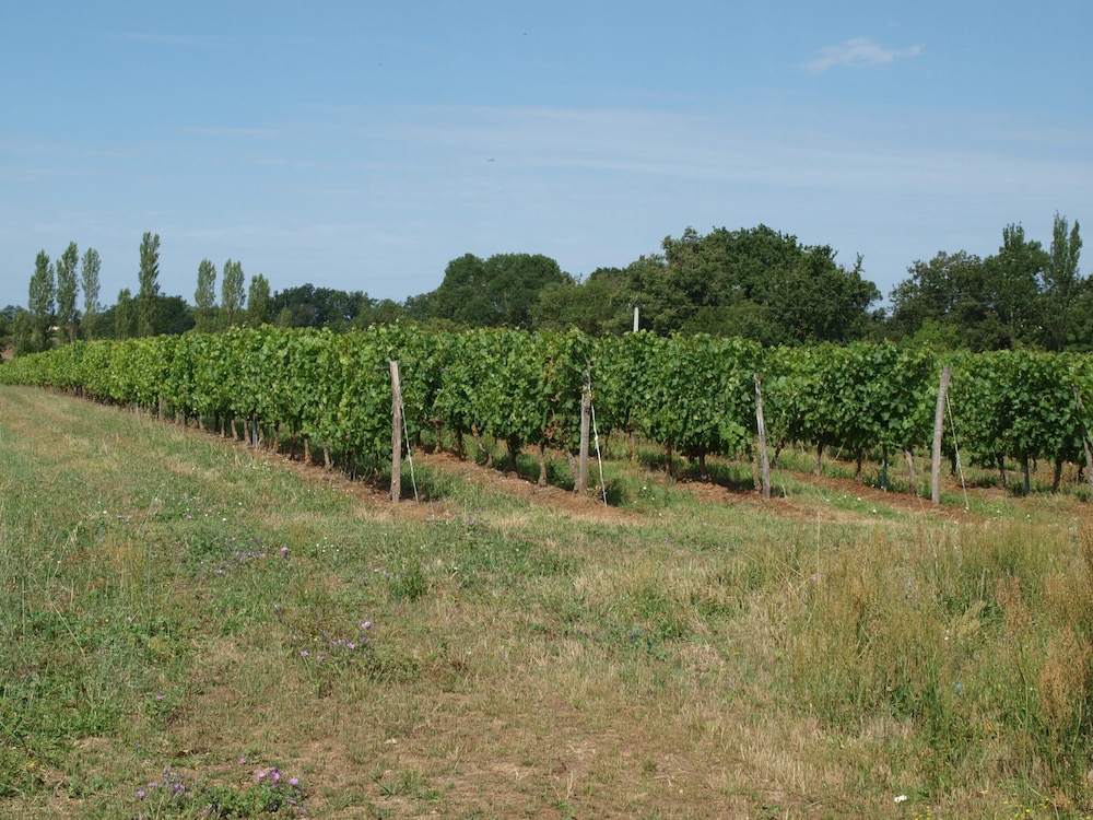 Le Logis du Livier