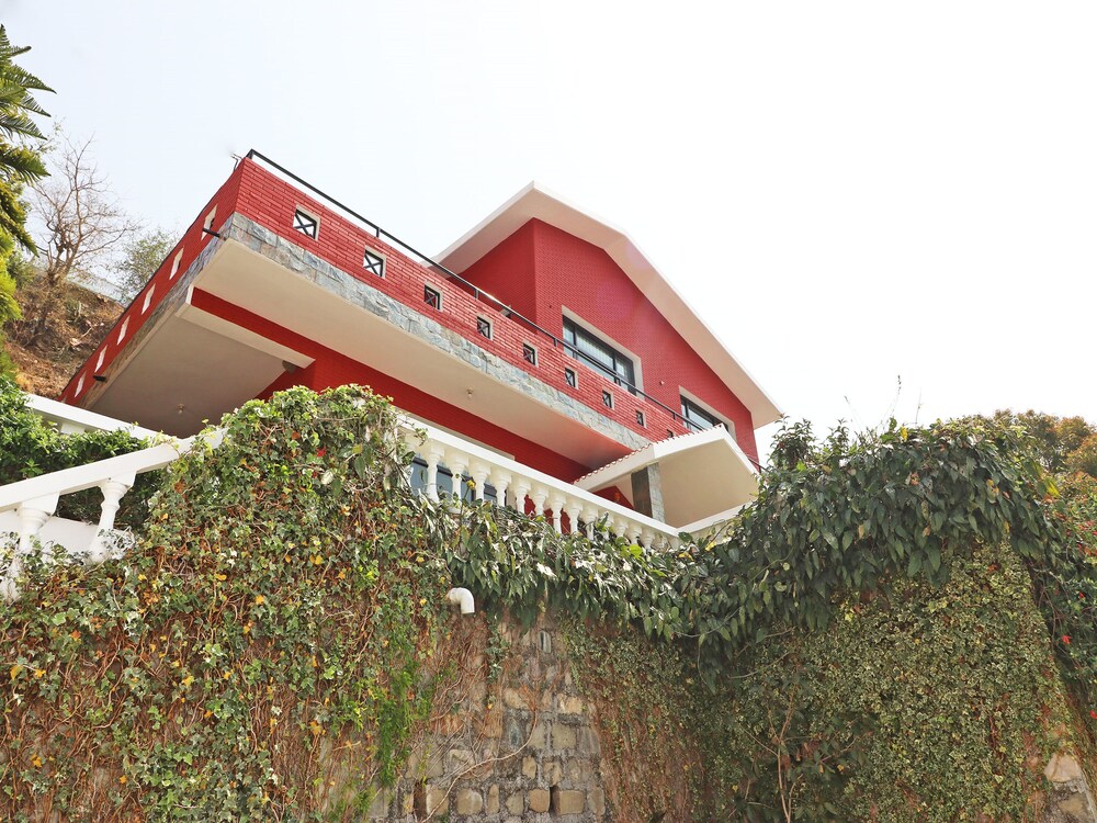 Photo 8