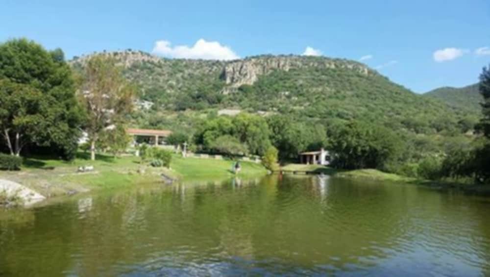 Photo 19