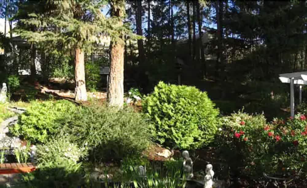 Alexandria House Bed & Breakfast
