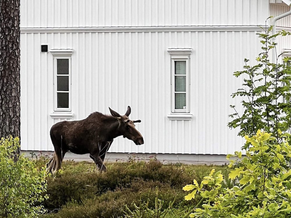 5 Star Holiday Home in Engelsviken