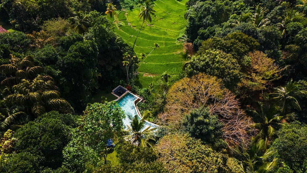The Kandy House