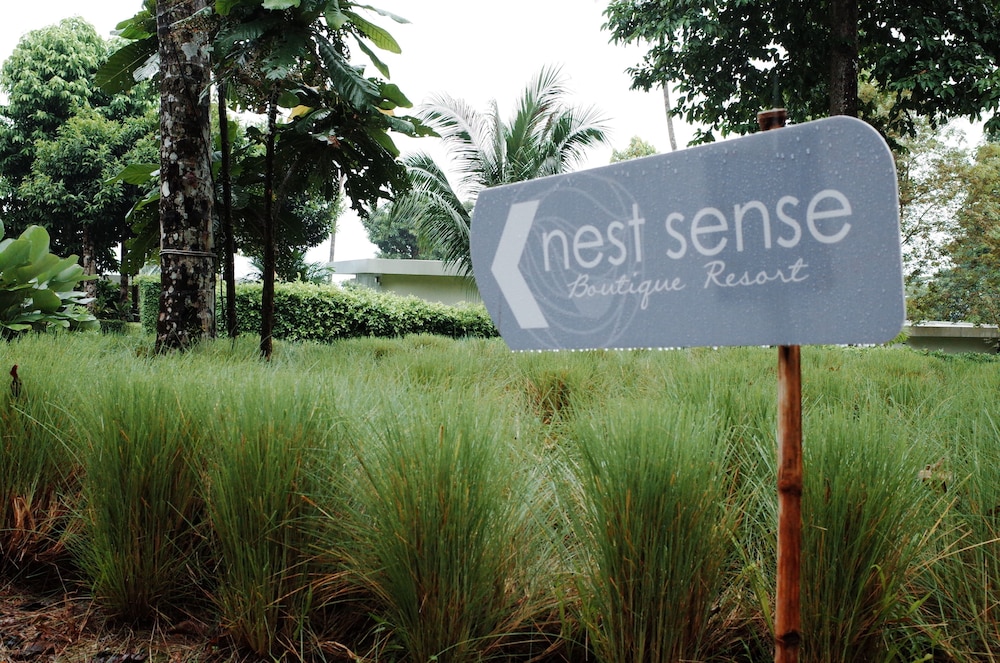 Nest Sense Resort