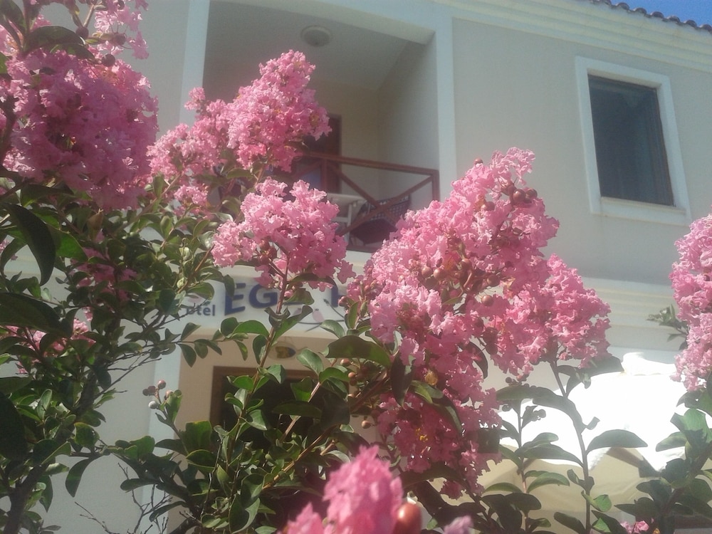 Ege Han Otel view 4