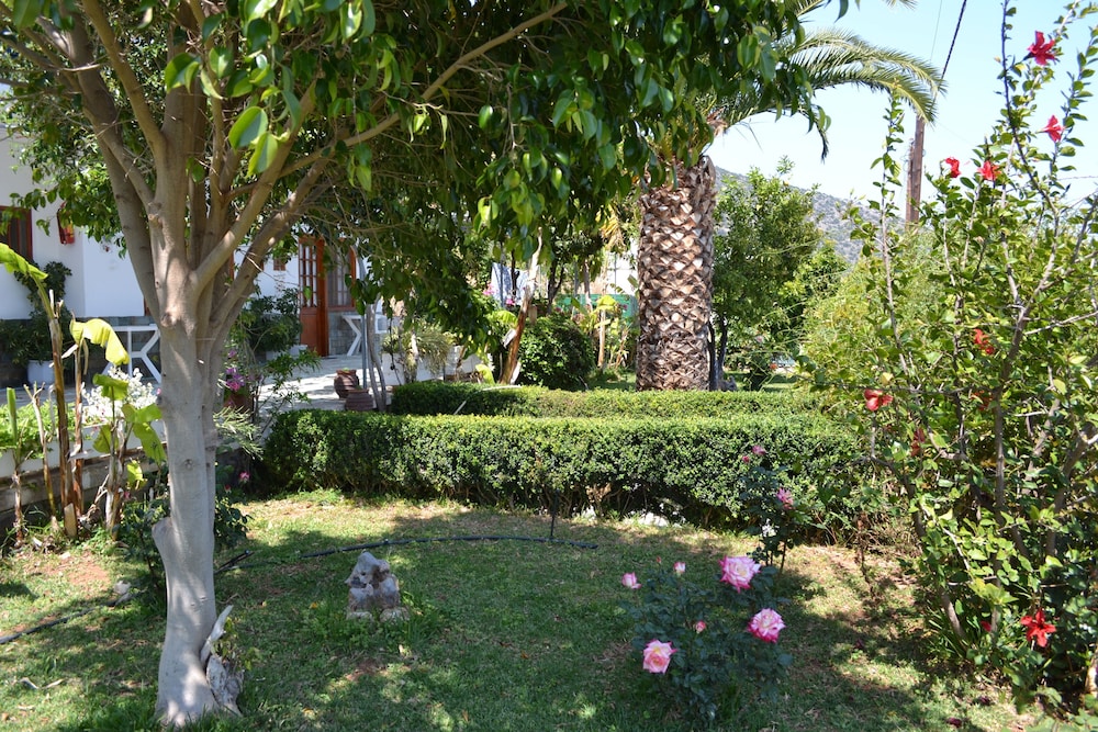 Photo 6