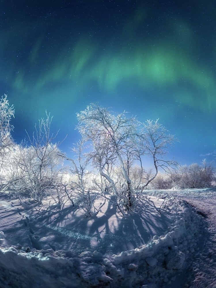 Aurora Village Murmansk