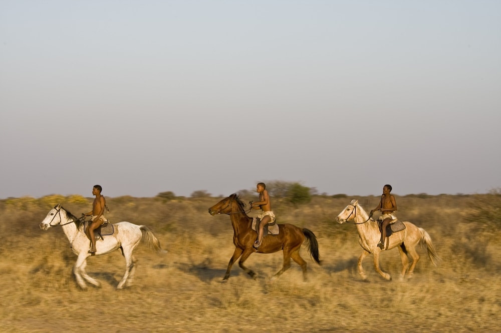 Grassland Safari Lodge