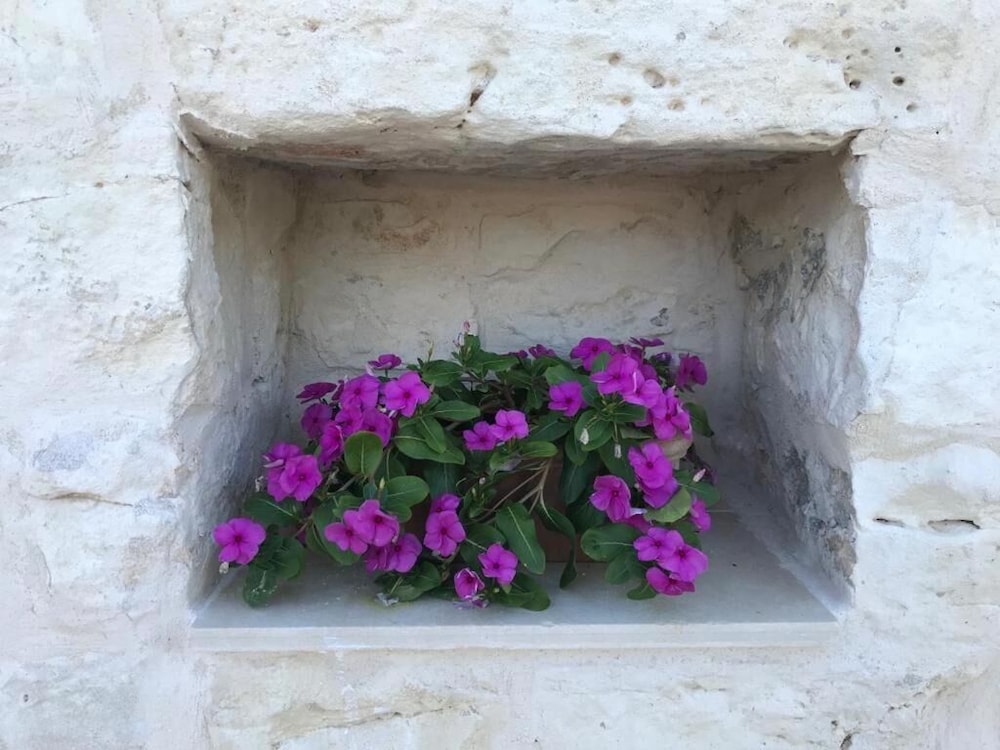 Photo 35