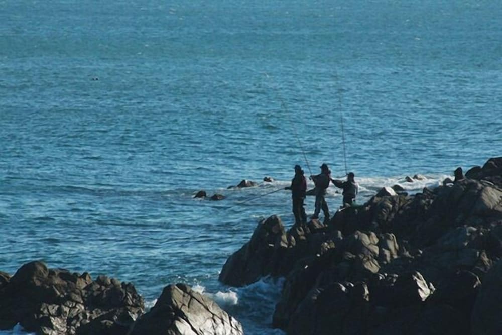 Ocean Bestvill