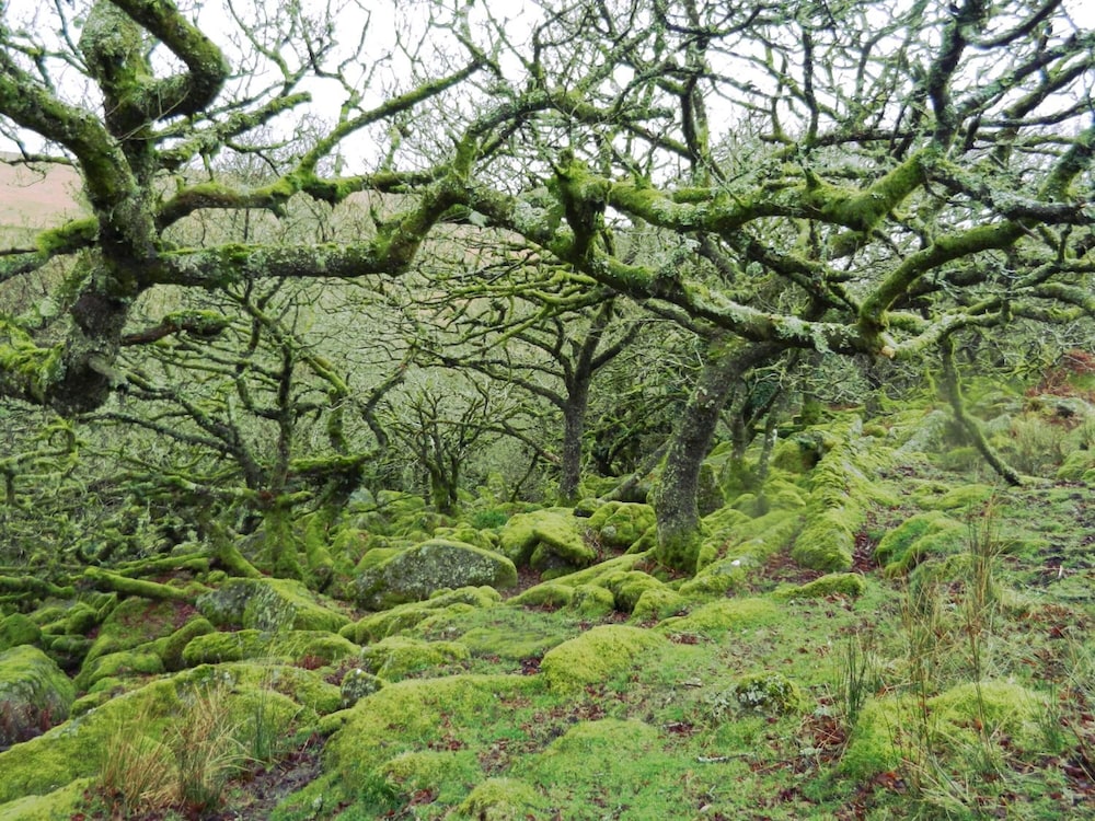 Yelverton Vacations - Overcombe House - Property Image 13