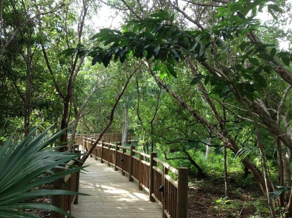 2BD Grand Bliss Vidanta Resort RM