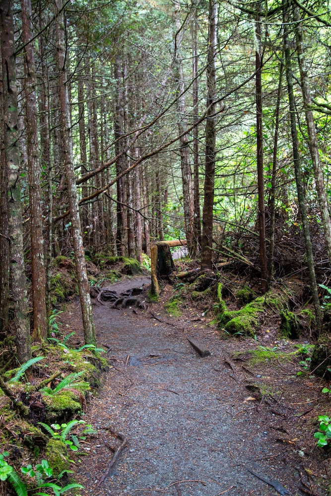 Handsome Dan's Port Renfrew