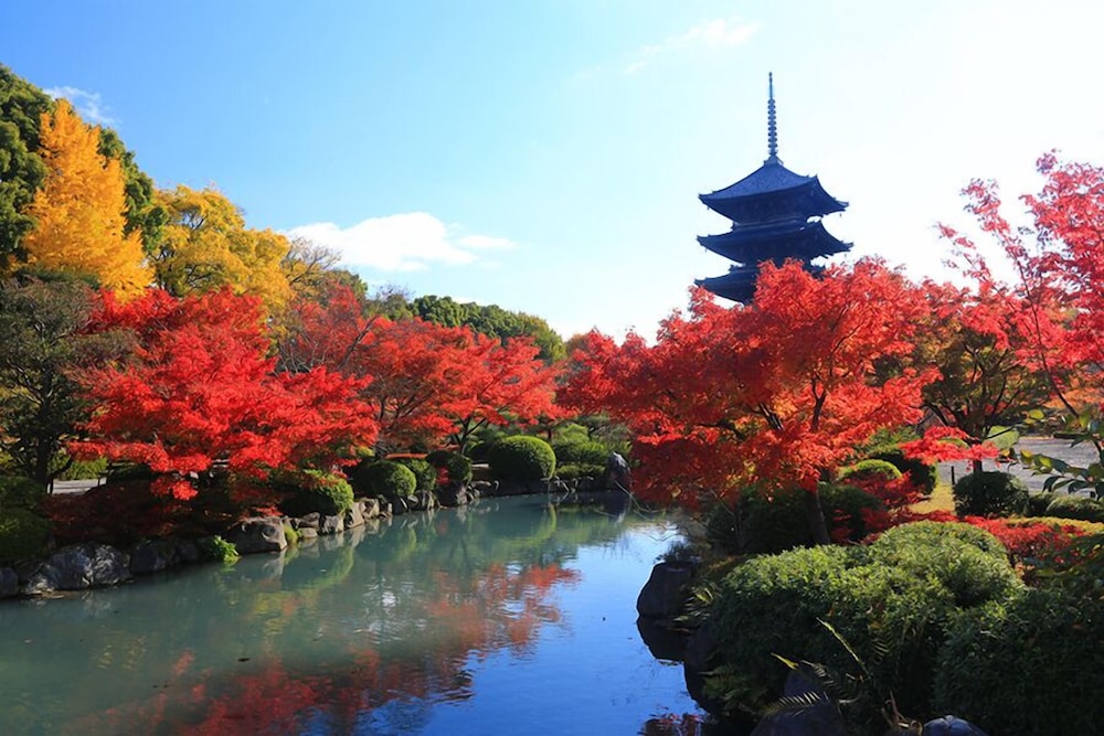 Machiya Kaemon Kyoto-sta.