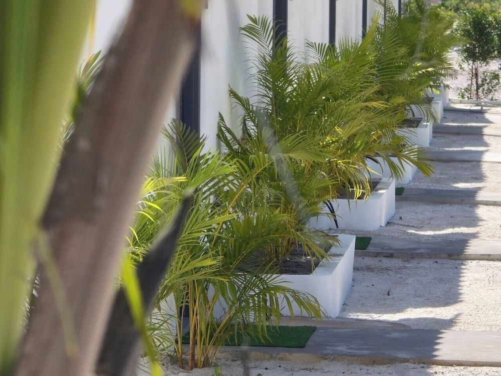 WHITE BEACH RESORT LONGSET