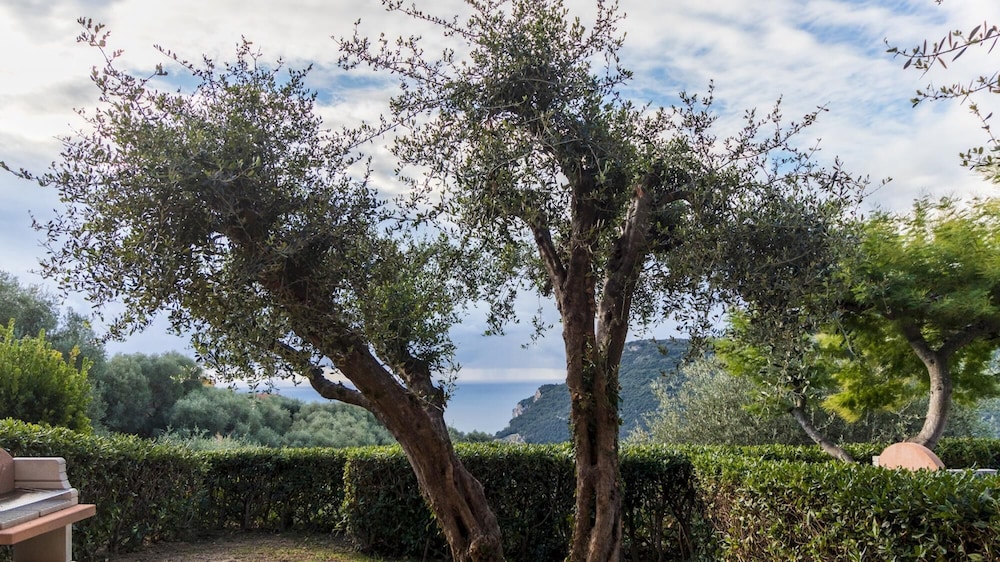other