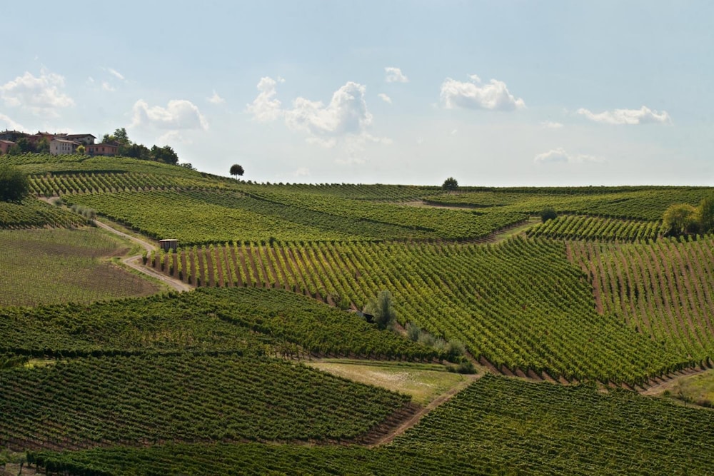 Il Poggio B&B