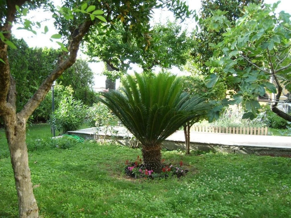 Photo 20