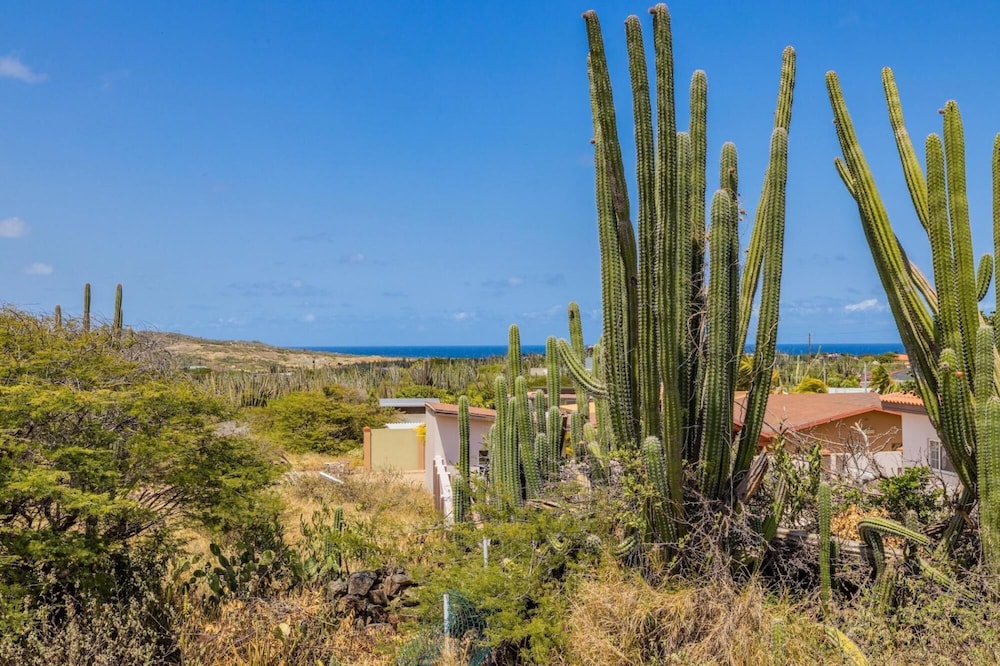 3BR Filled by Nature w Private Pool Ocean View